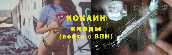 ECSTASY Богородицк