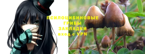 эйфоретик Богородск