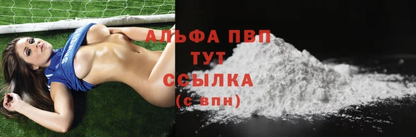 метадон Богданович