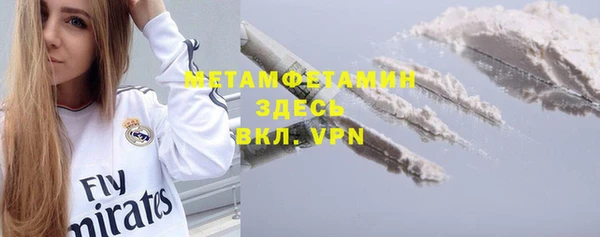метадон Богданович