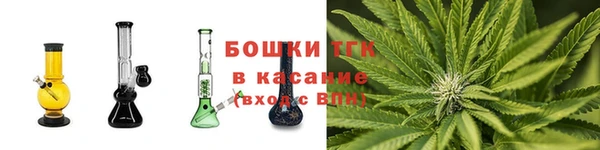 ECSTASY Богородицк
