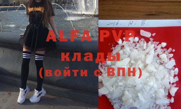 метадон Богданович