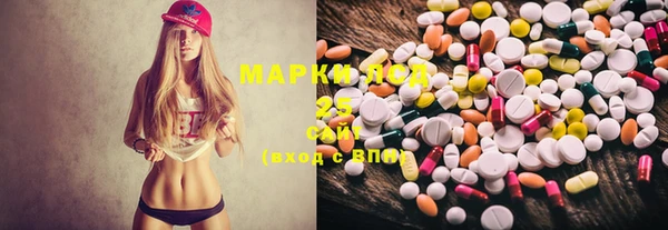 ECSTASY Богородицк