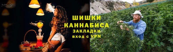 ECSTASY Богородицк