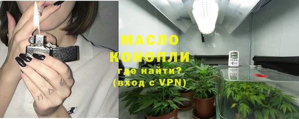 метадон Богданович